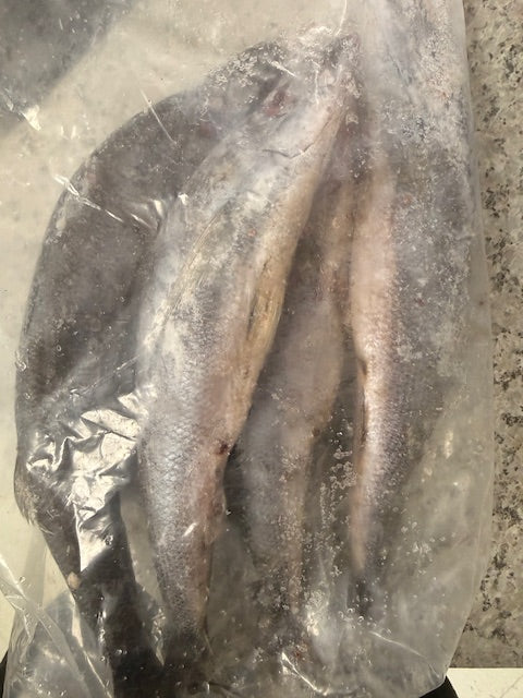 Frozen Mikeke Fish